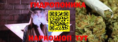 спиды Кандалакша
